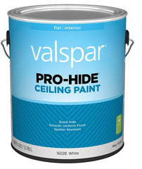 16028 PAINT CEILING WHITE GA