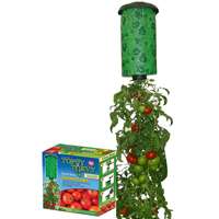 TOMATOES PLANTNER TOPSY