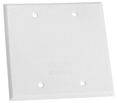722W-1 PLATE BLANK 2G W/P WHIT