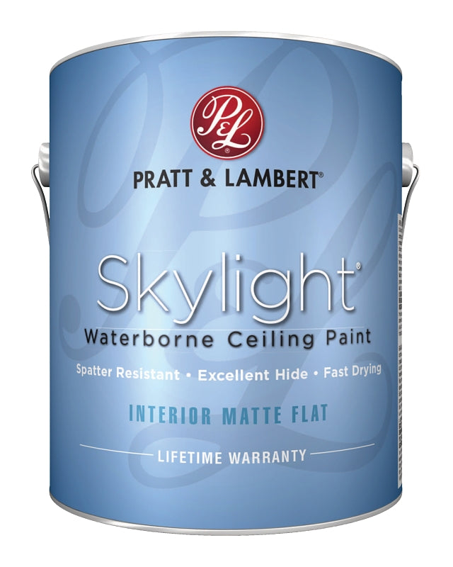 0000Z1251-20 PAINT CEILING FLT