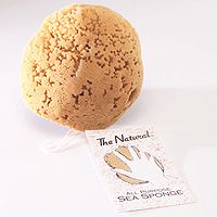 SPONGE  SEA  NATURAL 6-7''