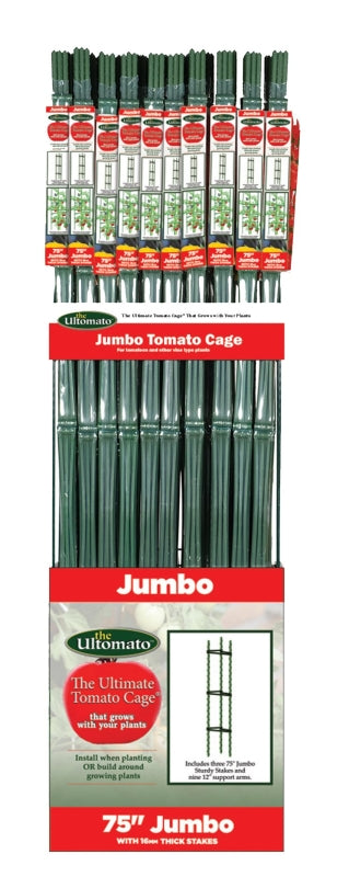 TMC60JB-6 CAGE TOMATO JUMBO