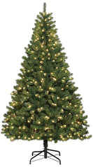 COLORADO SPRUCE TREE CMAS 7.5