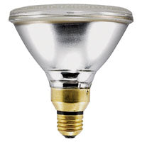 13805 65W Flood Light PAR38