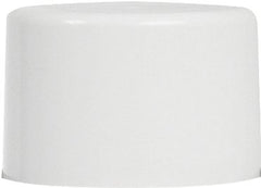 55280830 SPRY PAINT FL WHT10OZ