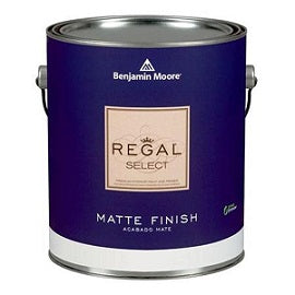 Lead Block Coating TNT Wht 5gl