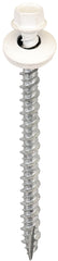 Acorn SW-MW25W250 Screw, High-Low, Twin Lead Thread, Hex Drive, Self-Tapping, Type 17 Point, White