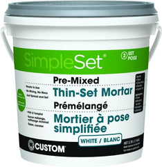 CSTTSW1-2 PRE-MIXED THINSET (W