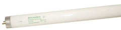 22360 BULB LT 32WT8 48IN 3000K