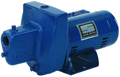 FSNDH-L SHLLW WELL JET PUMP