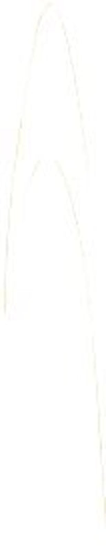 093898006 BREAD KNIFE 8 SHEATH