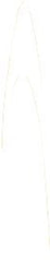 093898006 BREAD KNIFE 8 SHEATH