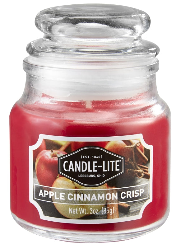 4449021/4345021 3OZ JAR CINN A