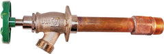 455-10LF FROST FREE HYDRANT