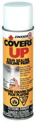 Z03696 CEILING PAINT