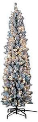 95771 TREE SISKIYOU PENCIL 7FT