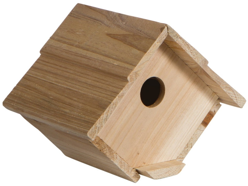 1639 HOUSE BIRD CEDAR WREN