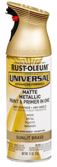 353093 PAINT SPRAY MATTE UNI