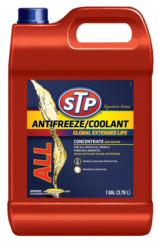 11073 ANTI-FRZ/COOLANT CONC 1G