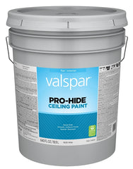 16028 PAINT CEILING WHITE PAIL